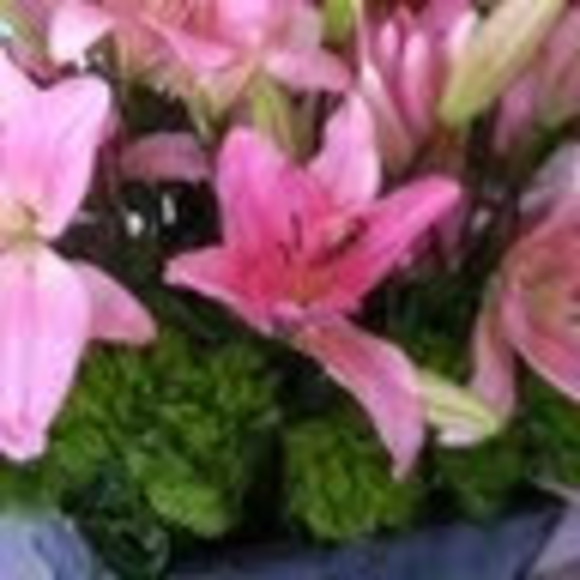 Meet your Posher, Barbara - Picture 1 of 1